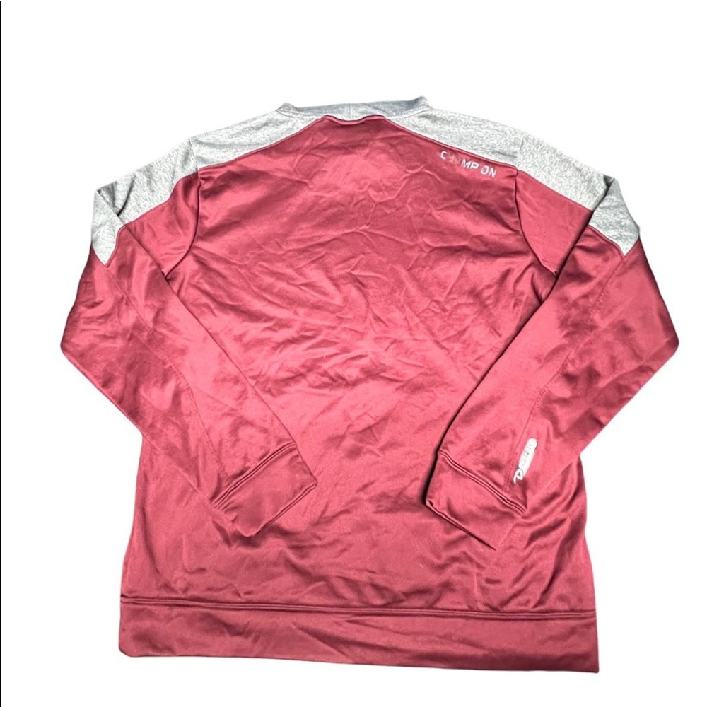 Mens Champions Hoodie